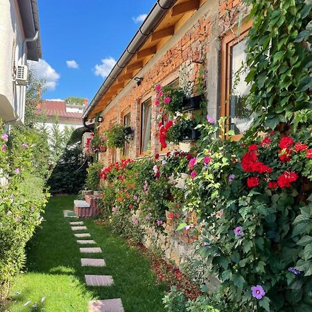 Flower House In The City Center! Pristina Exterior photo