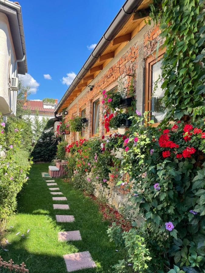 Flower House In The City Center! Apartment Pristina Exterior photo