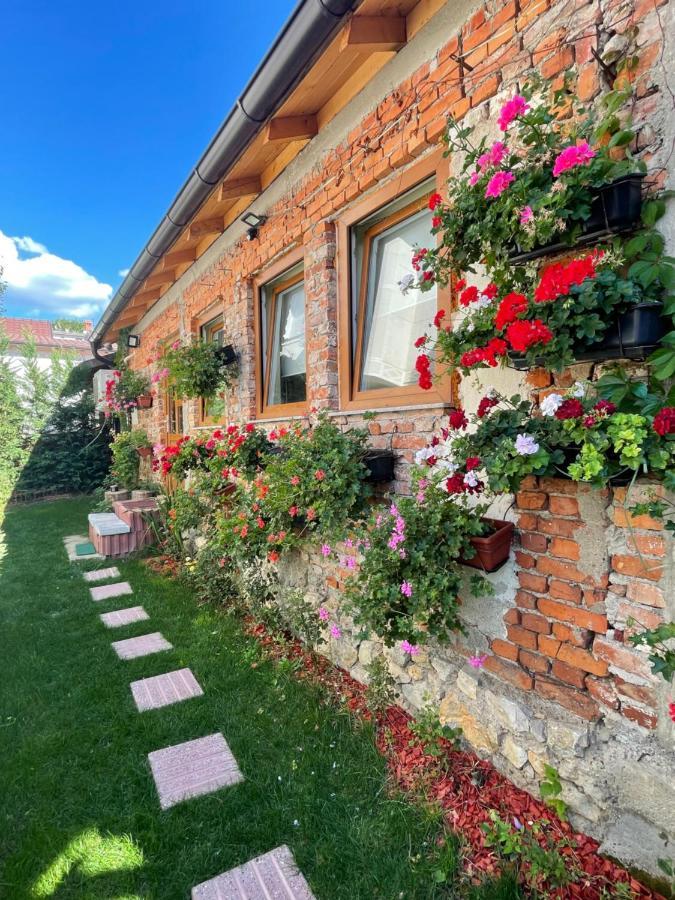 Flower House In The City Center! Pristina Exterior photo